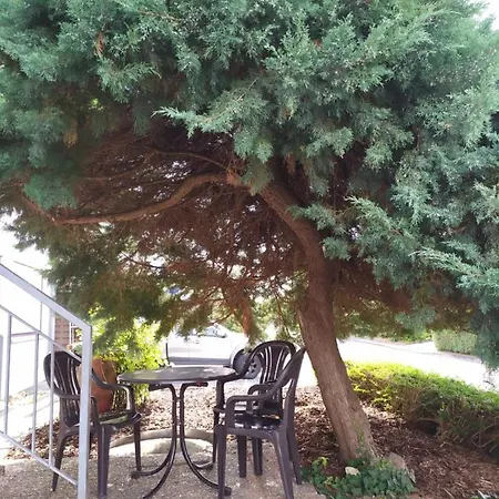 Fewo-nescht דירה *